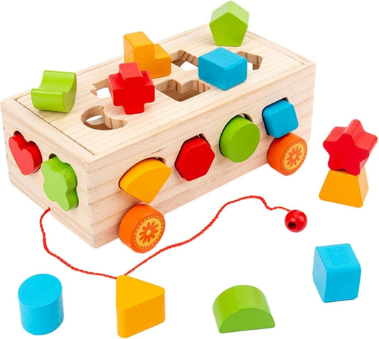 Puzzle Formes Bois Pin 16 Trous Blocs Montessori - JSKT90