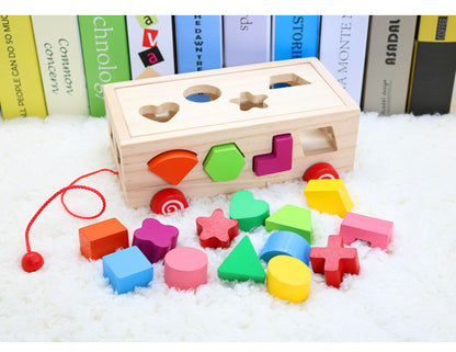 Puzzle Formes Bois Pin 16 Trous Blocs Montessori - JSKT90